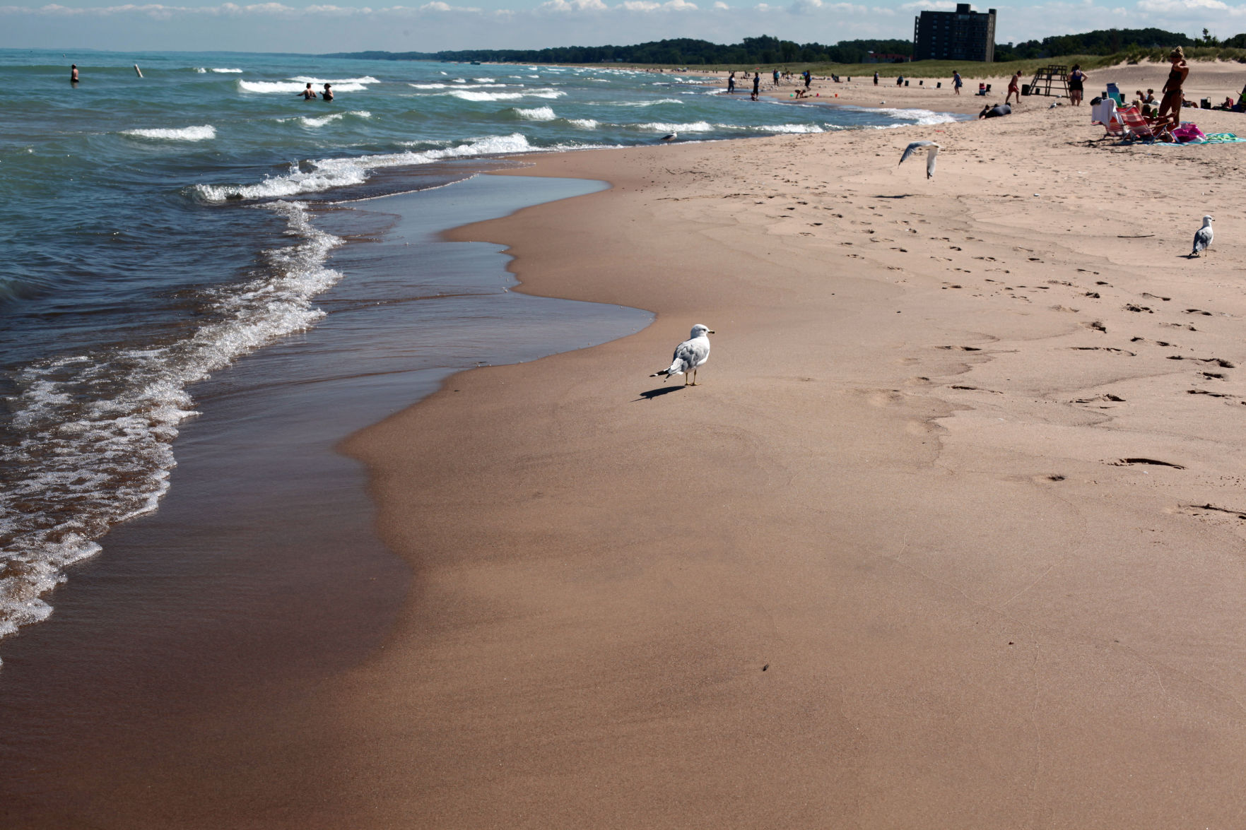 beaches
